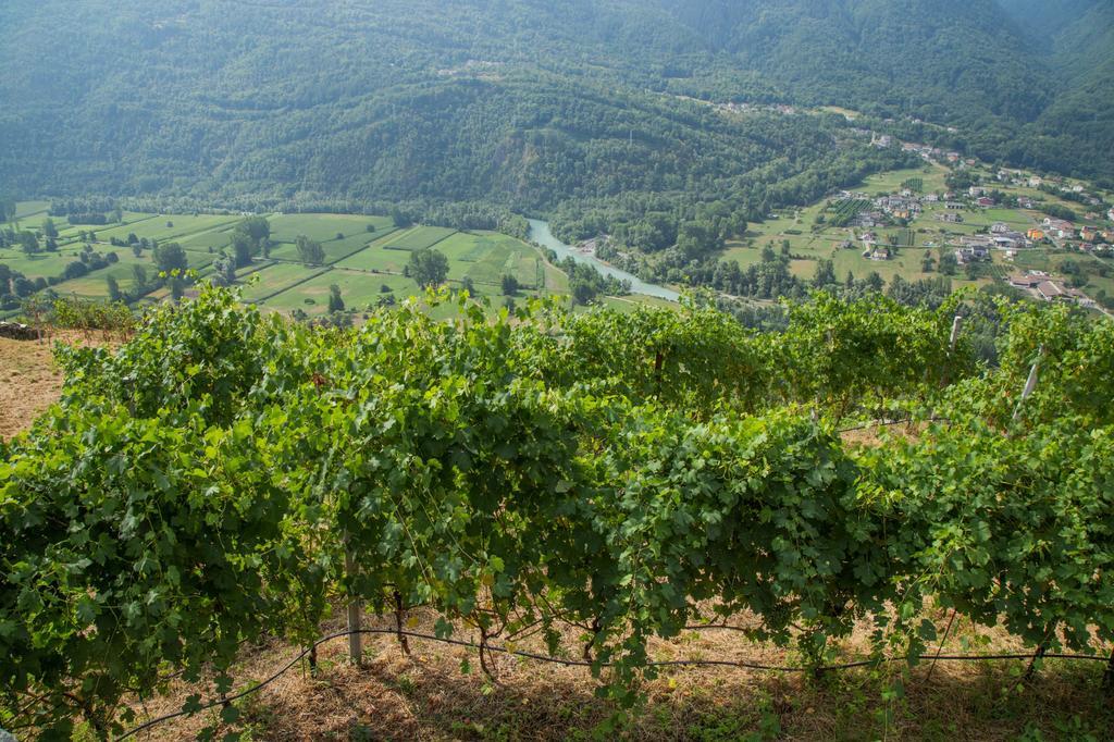 B&B Ca' La Vedescia Teglio Exteriör bild