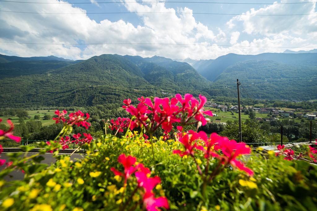 B&B Ca' La Vedescia Teglio Exteriör bild
